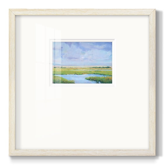 Summer Marsh IPremium Framed Print