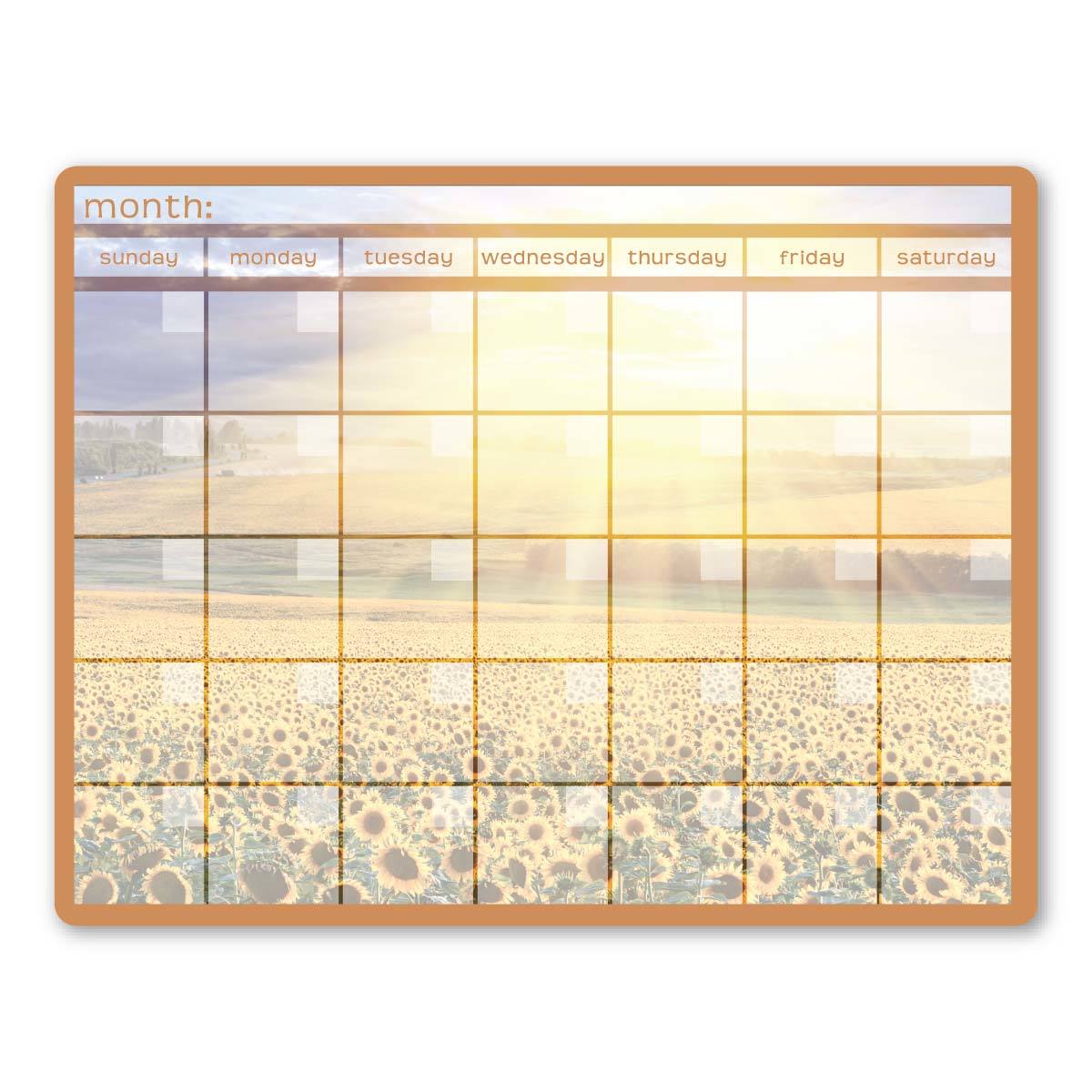 Summer Monthly Calendar Memo Board With Wet Erase Pen - image 1 of 1