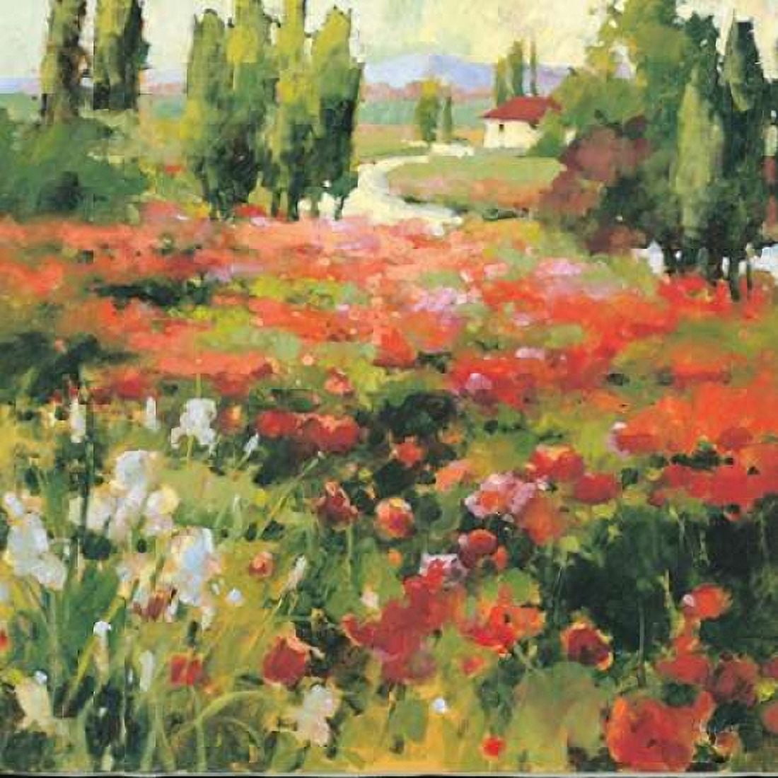 Summer Morning Canvas Art - Kay Grant (24 x 24)