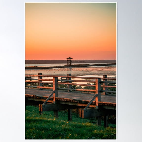 Summer Morning Sunrise Over The Lake Poster Wall Art, Modern Wall Decor, 16x24 UNFRAMED