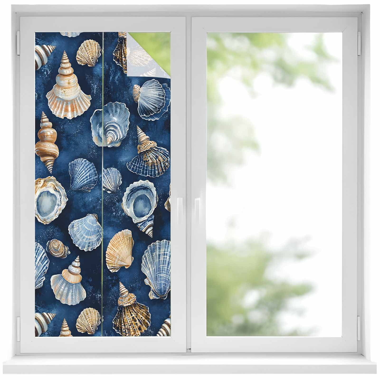 Summer Ocean Window Privacy Film, Modern Blue Brown Shell Conch ...