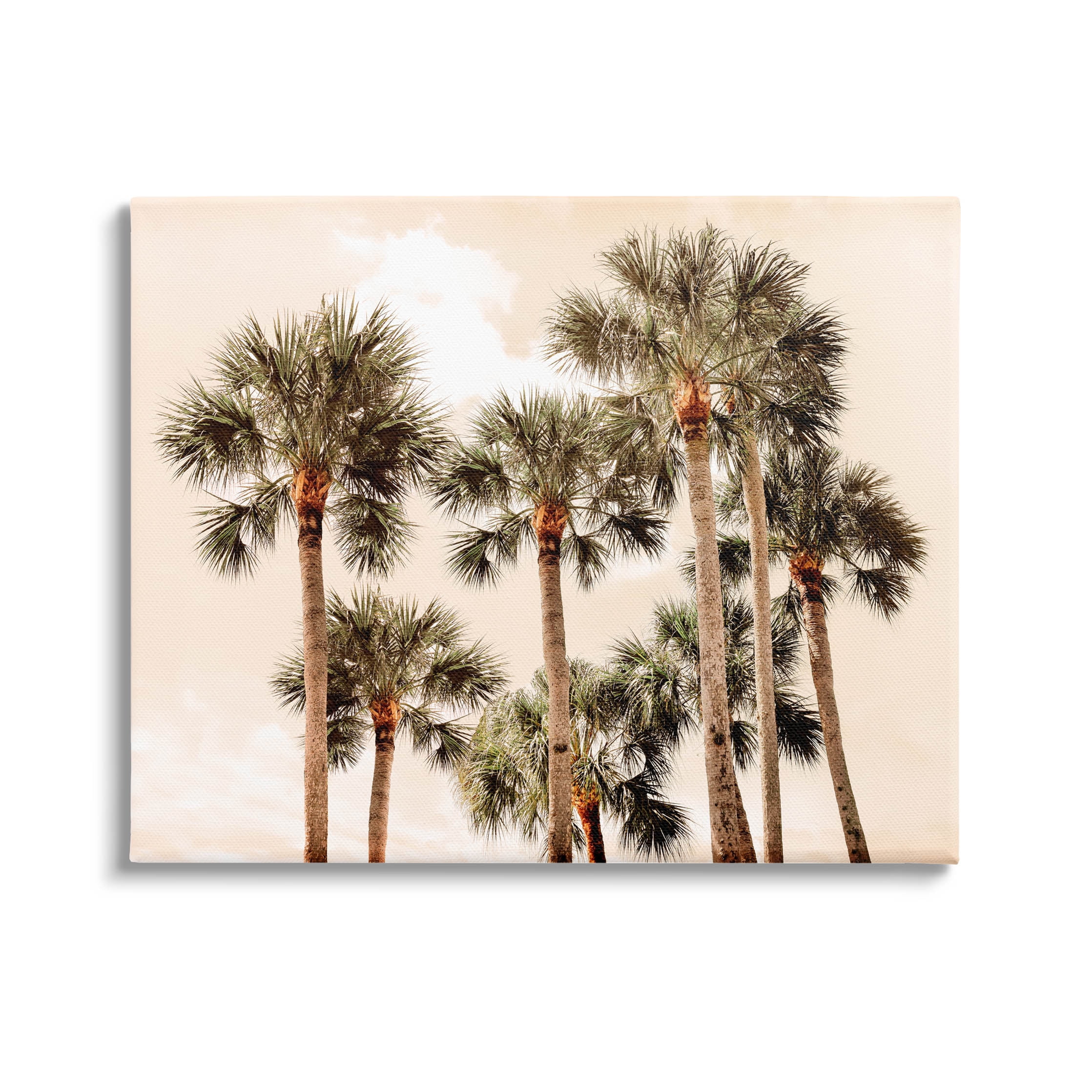 Summer Palm Trees Sky Landscape Photograph Gallery Wrapped Canvas Print Wall Art