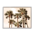 thumbnail image 1 of Summer Palm Trees Sky Landscape Photograph Gray Framed Art Print Wall Art, 1 of 7
