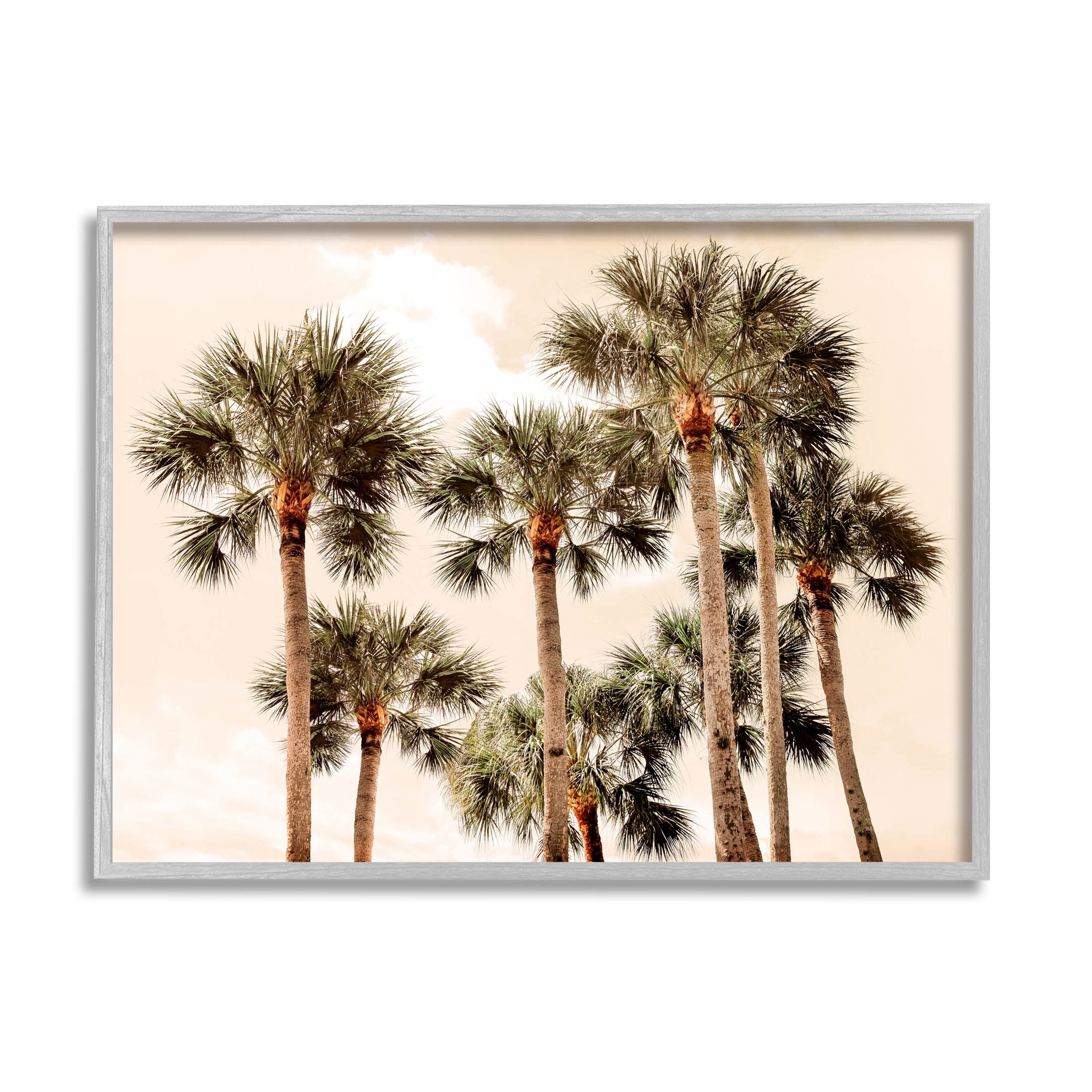 Summer Palm Trees Sky Landscape Photograph Gray Framed Art Print Wall Art