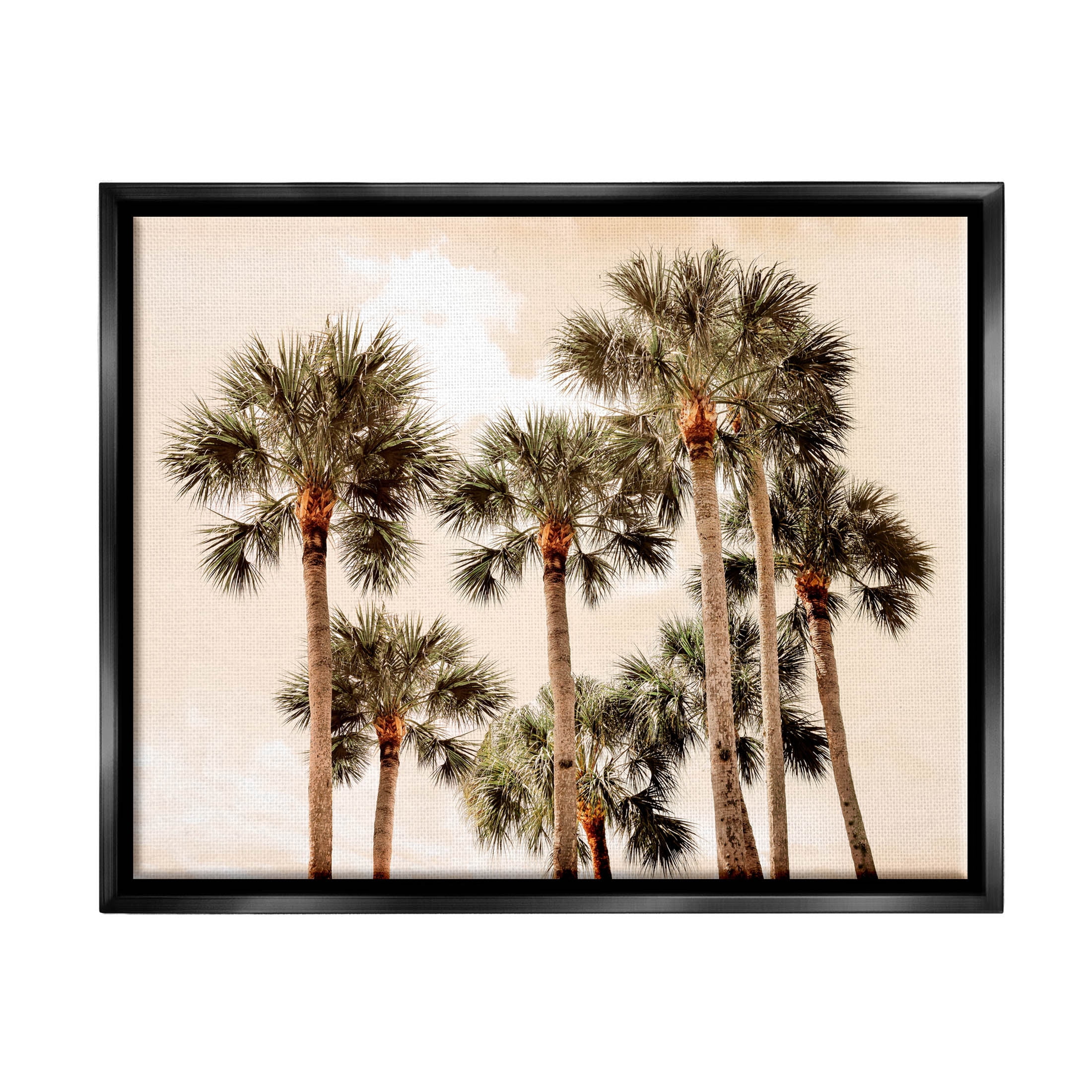 Summer Palm Trees Sky Landscape Photograph Jet Black Framed Art Print Wall Art