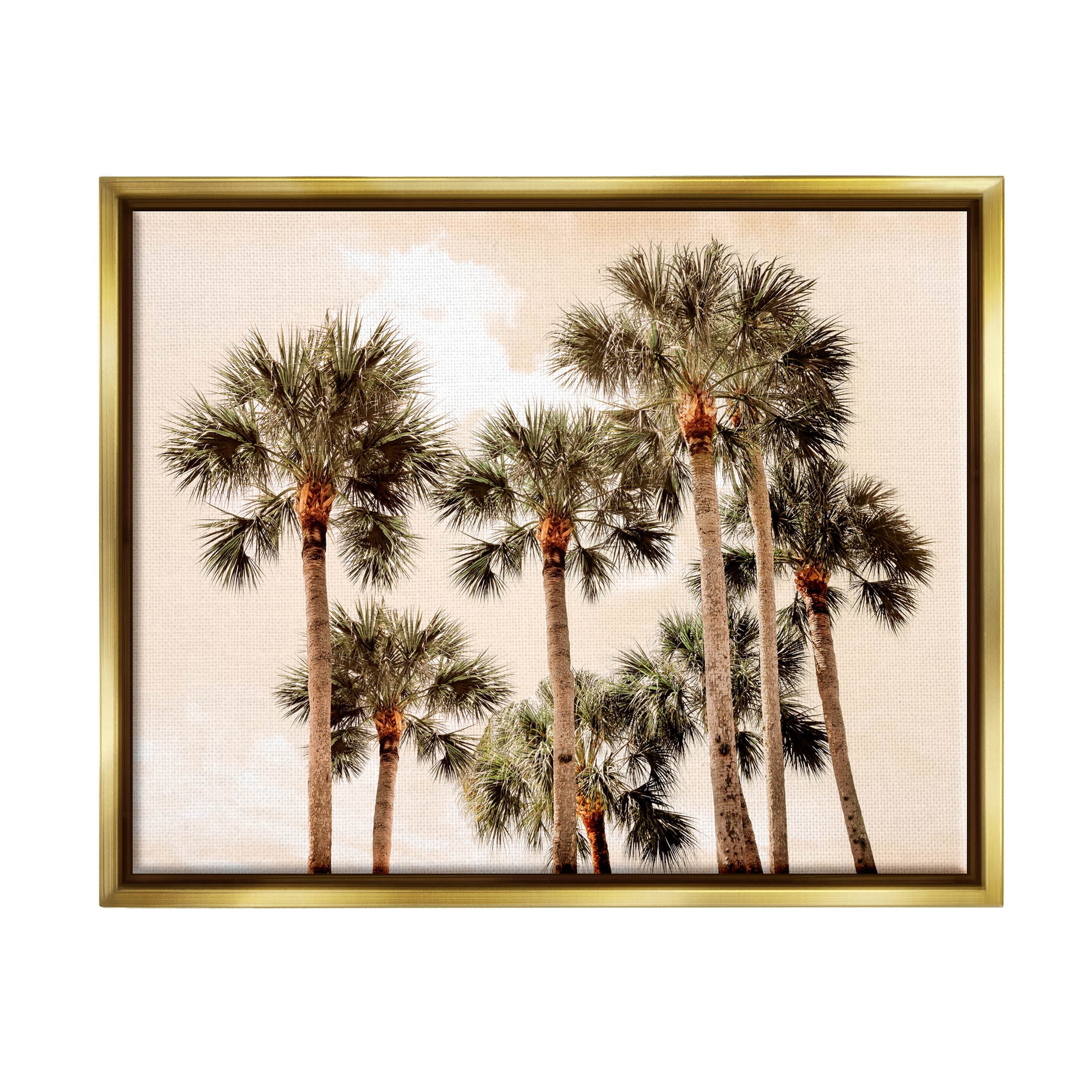 Summer Palm Trees Sky Landscape Photograph Metallic Gold Framed Art Print Wall Art