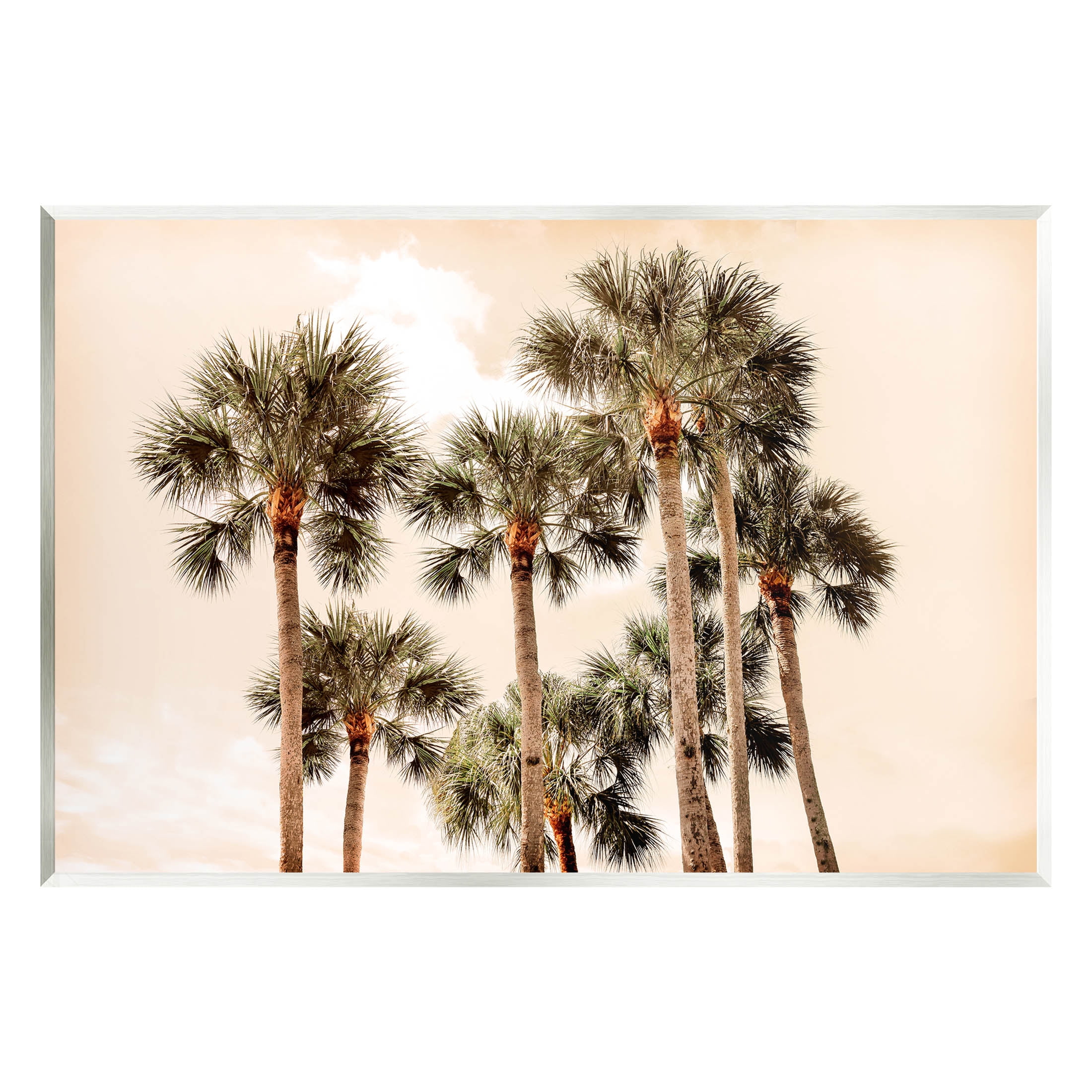 Summer Palm Trees Sky Landscape Photograph Unframed Art Print Wall Art