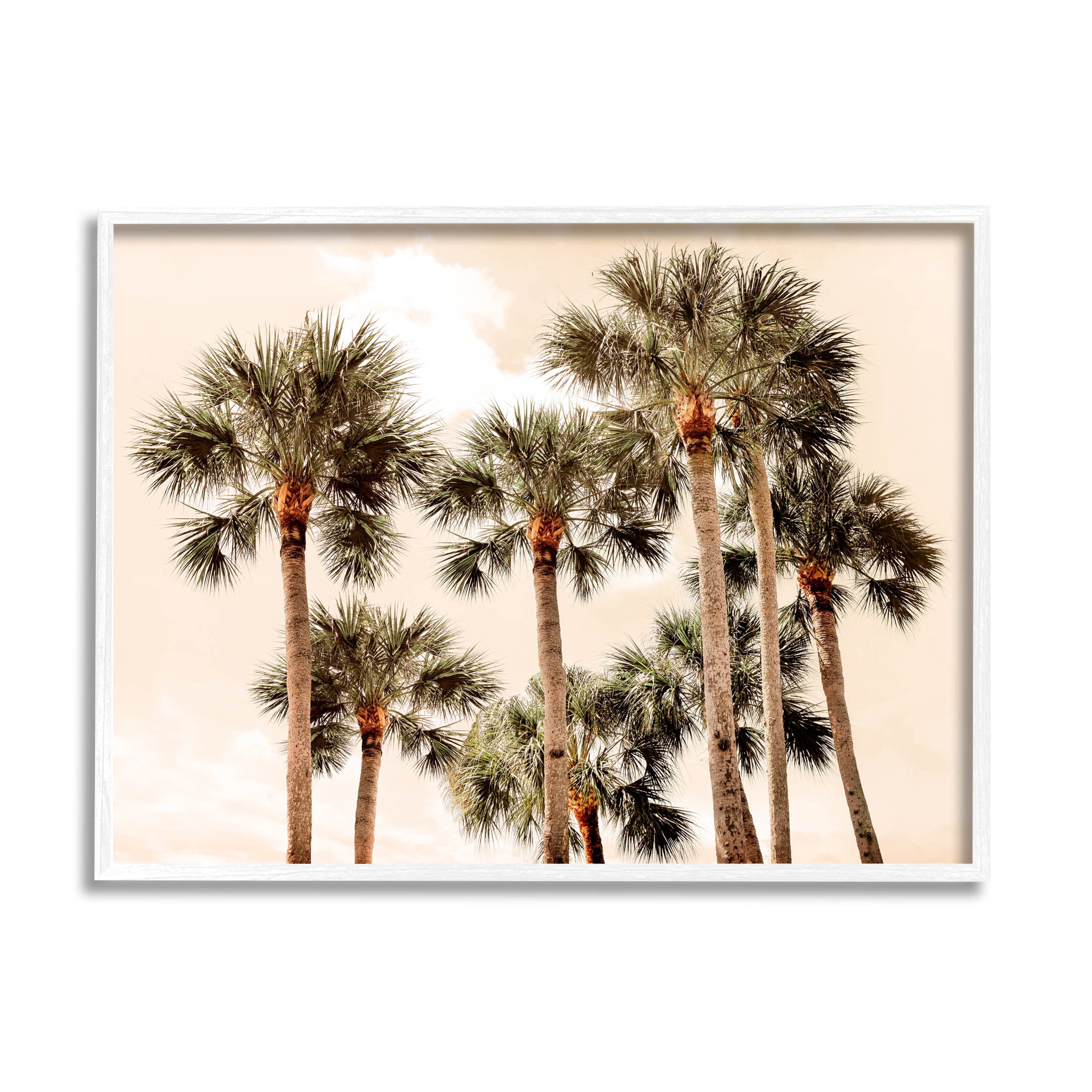 Summer Palm Trees Sky Landscape Photograph White Framed Art Print Wall Art