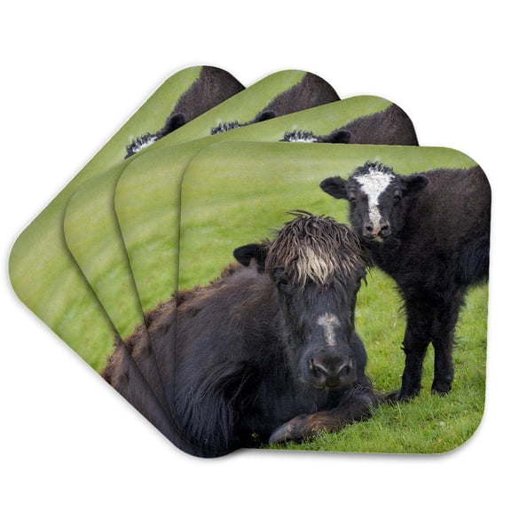 3drose, Summer Pasture. Alaj Valley, Pamir Mountains, Set of 4 Coasters - Soft