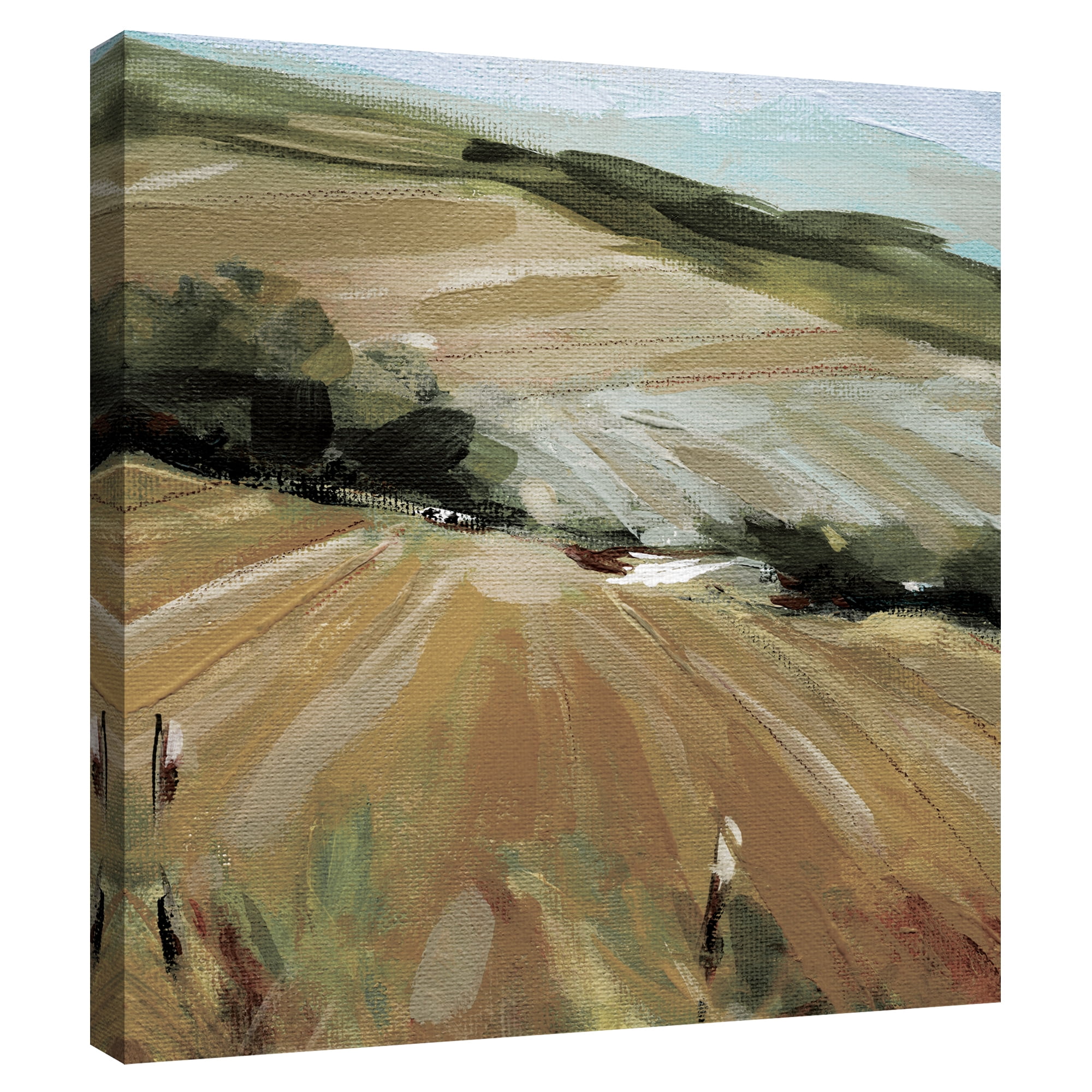 Summer Pasture by Carol Robinson Canvas Art Print