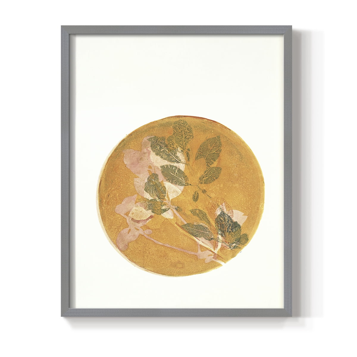 Summer Peach in Paper Solid Wood 11 x 14 Framed Print