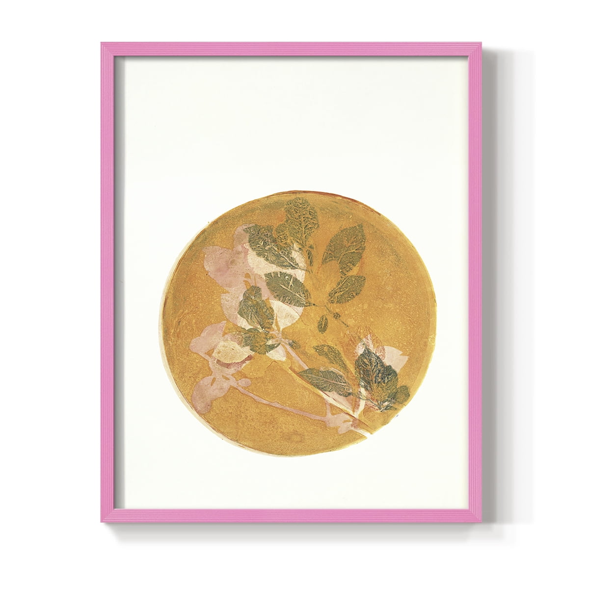 Summer Peach in Paper Solid Wood 8 x 10 Framed Print
