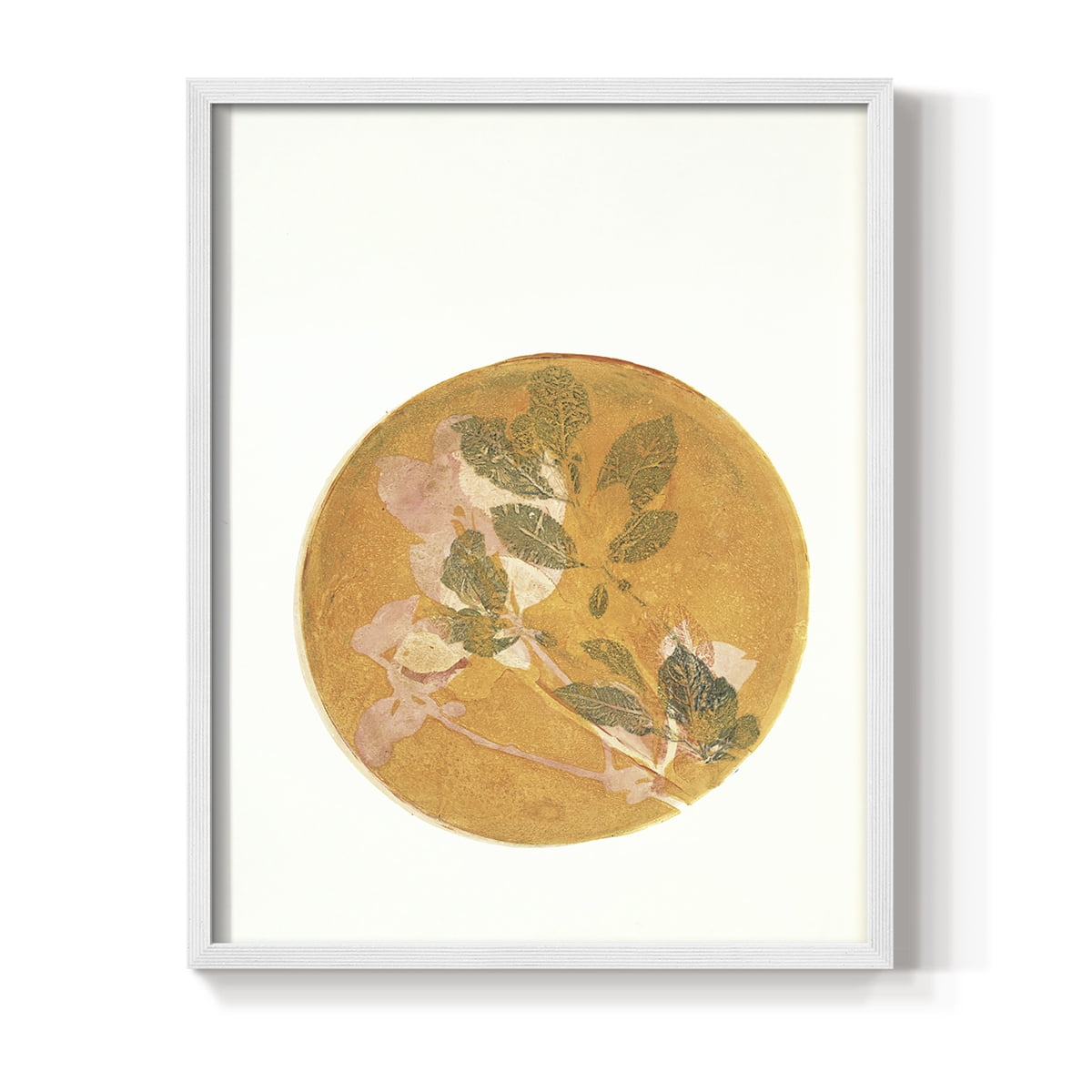 Summer Peach in Paper Solid Wood 8 x 10 Framed Print
