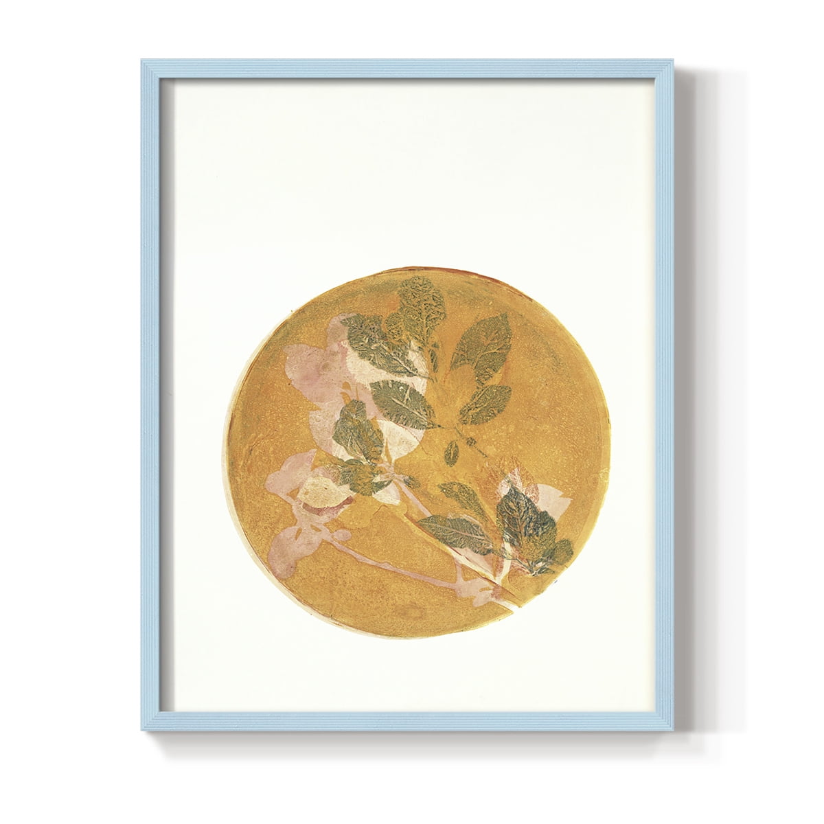 Summer Peach in Paper Solid Wood 8 x 10 Framed Print
