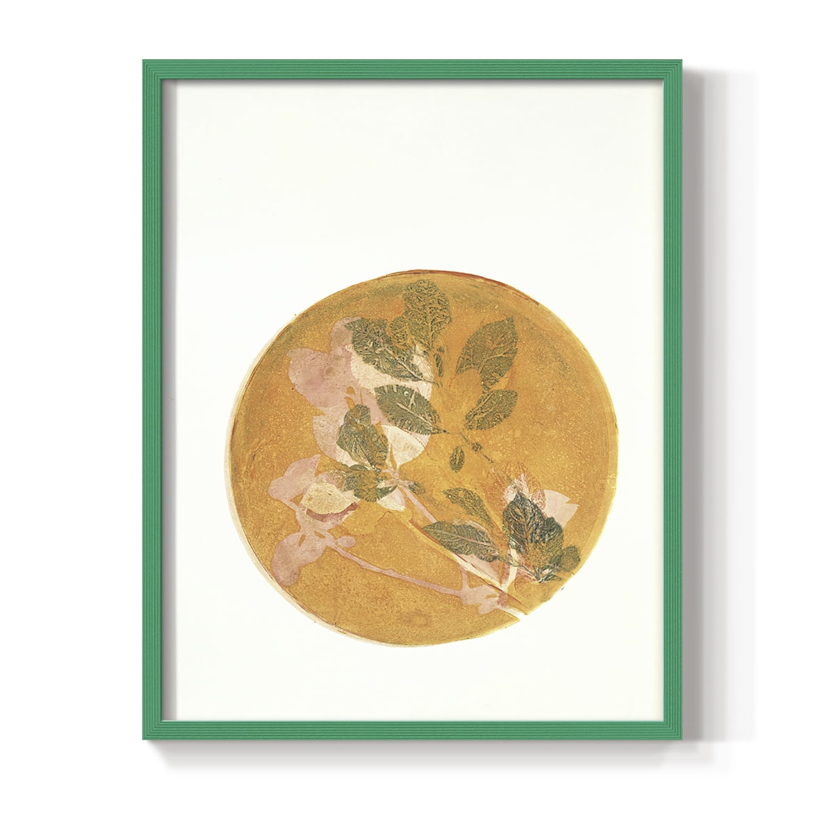 Summer Peach in Paper Solid Wood 8 x 10 Framed Print