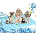 thumbnail image 1 of Summer Pet Cooling Mat Ice Silk Moisture-proof Dog Mat Cooler Cool Mattress Cushion Puppy Cat Kitten Sleeping Mat Keep Cool Bed, 1 of 7