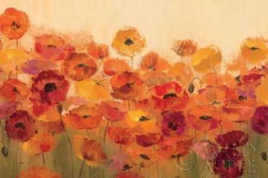 Summer Poppies Canvas Art - Silvia Vassileva (24 x 36)