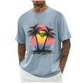 thumbnail image 1 of Chiccall Mens Plus Size T Shirts Summer Beach Short Sleeve Crew Neck Casual Tropical Graphic Tees Tops Light Blue ③, 1 of 5