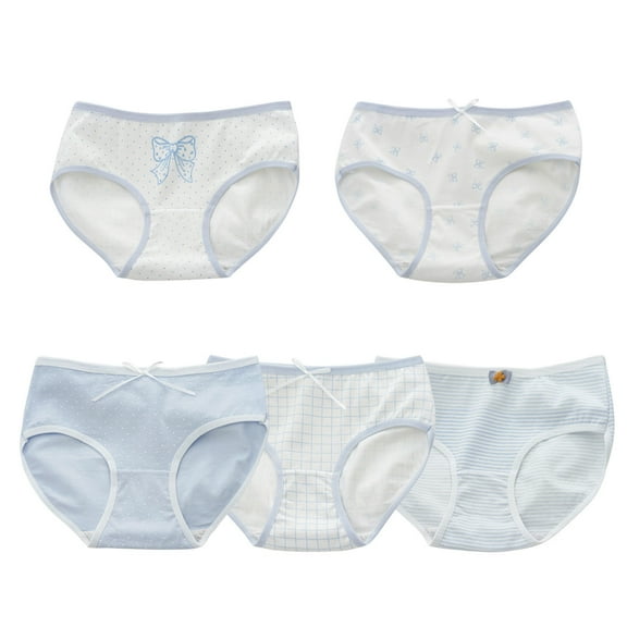 Loopsun Girls Cotton Underwear, 5PC Young Girls Solid Color Soft Comfortable Breathable Children Briefs Underpants Multicolor 16-17 Years