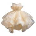 thumbnail image 1 of THDHVS Flower Girl Dress,Dresses for Girls,Summer Tail Mesh Sequins Dress Flower Girl's Wedding Dress Skirt Girl's Performance Long Skirt Beige 4-5 Years, 1 of 7