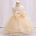 thumbnail image 1 of Edvintorg Toddler Girl Dresses Sleeveless Lace Bow Mesh Lace Gauze Dress Princess Dresses for Girls 0-3Years 1St Birthday Party Kids Gift, 1 of 7