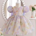 thumbnail image 1 of LADIGASU Girls' SummerShort Sleeve Ruffled Lace Round-Neck Embroidery Mesh Princess Bow Skirt, 1 of 5