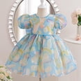 thumbnail image 1 of LADIGASU Girls' SummerShort Sleeve Ruffled Lace Round-Neck Embroidery Mesh Princess Bow Skirt, 1 of 5