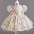 thumbnail image 1 of LADIGASU Girls' SummerShort Sleeve Ruffled Lace Round-Neck Embroidery Mesh Princess Bow Skirt, 1 of 5