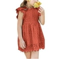 thumbnail image 1 of Summer Savings Clearance! Yievot Toddler Baby Girls Dress Elegant Lace Sleeveless Party Kid Princess Dress Infant Girl's Dresses 1-6 Years, 1 of 5