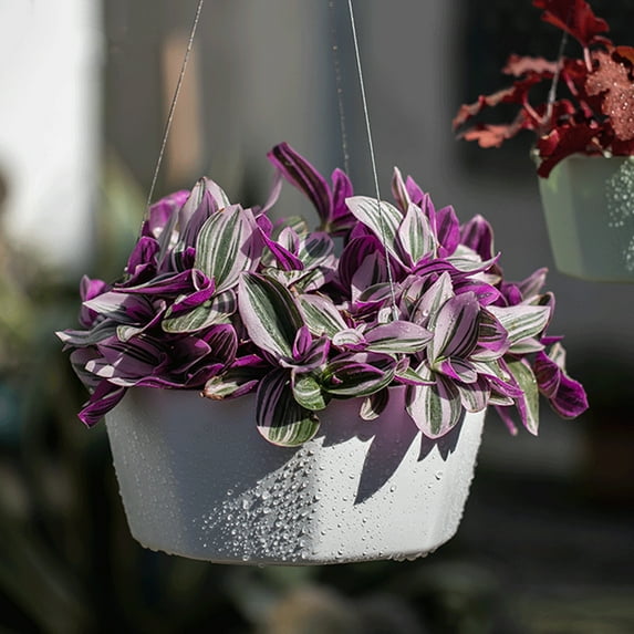 karymi Hanging Plant Indoor Planters Art Decor Modern Wall and Ceiling Planter Flower Pot Hold Planters Hanger for Home Decor Bedroom Decor Room Decor Aesthetic