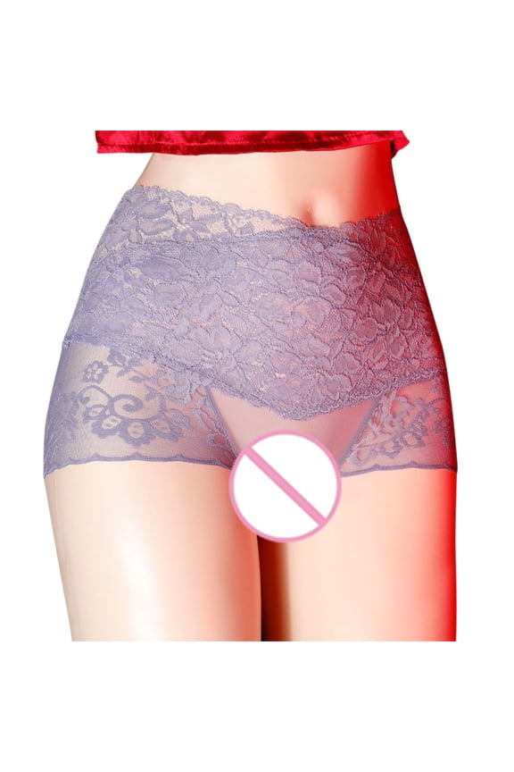 Panties for Women,Womens Underwear,Women's High Waist Lace Open Transparent Mesh Panties Briefs,M-XL