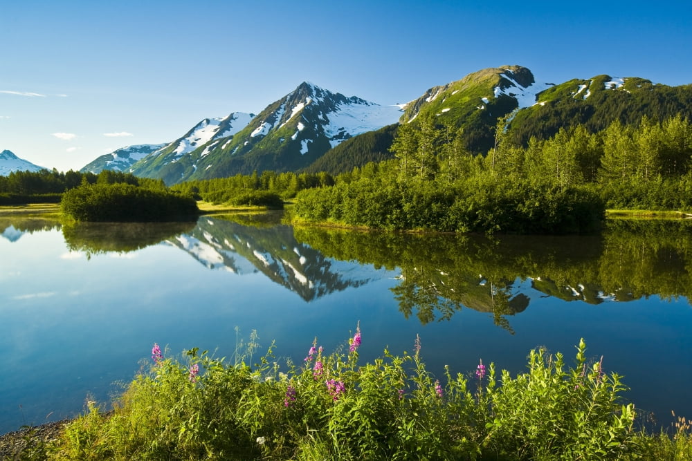Summer Scenic Of Mist Over Moose Ponds And Explorer Glacier In Portage Valley Alaska Canvas Art - Michael DeYoung Design Pics (17 x 11)