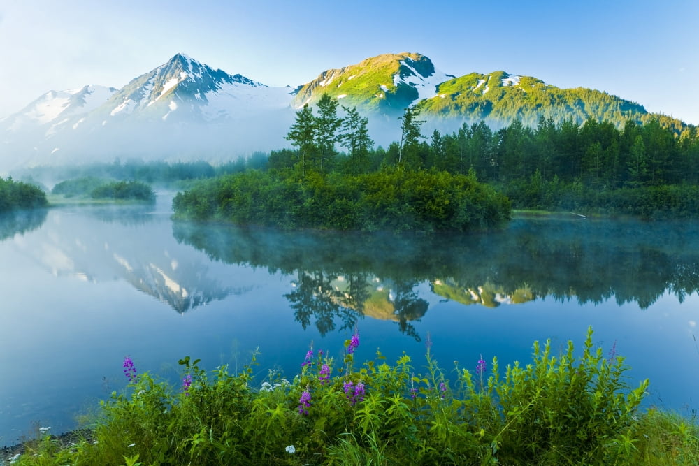 Summer Scenic Of Mist Over Moose Ponds And Explorer Glacier In Portage Valley Alaska Canvas Art - Michael DeYoung Design Pics (34 x 22)