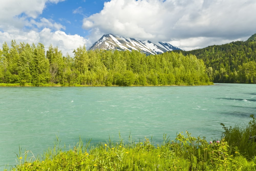 Summer Scenic Of Upper Kenai River Near Cooper Landing On The Kenai Peninsula Alaska Canvas Art - Michael DeYoung Design Pics (34 x 22)