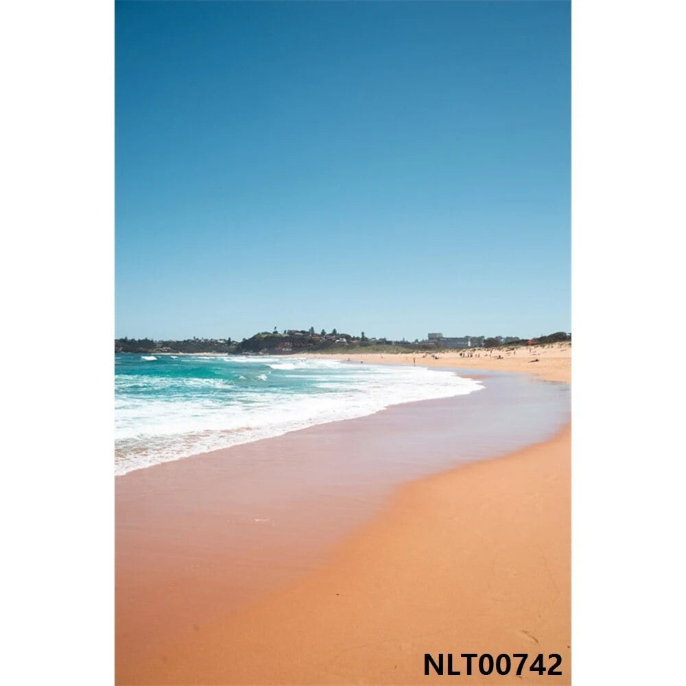 Summer Sea Backdrops Blue Sky White Clouds Beach Palms Trees Baby