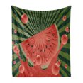 thumbnail image 1 of Summer Soft Flannel Fleece Throw Blanket, Beach Fruit Vegetarian Garden Health Life Hot Season Image, Cozy Plush for Indoor and Outdoor Use, 60" x 80", Hunter Green Dark Coral, by Ambesonne, 1 of 6