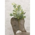 thumbnail image 1 of Summer Splendor Bush, 21", 1 of 1