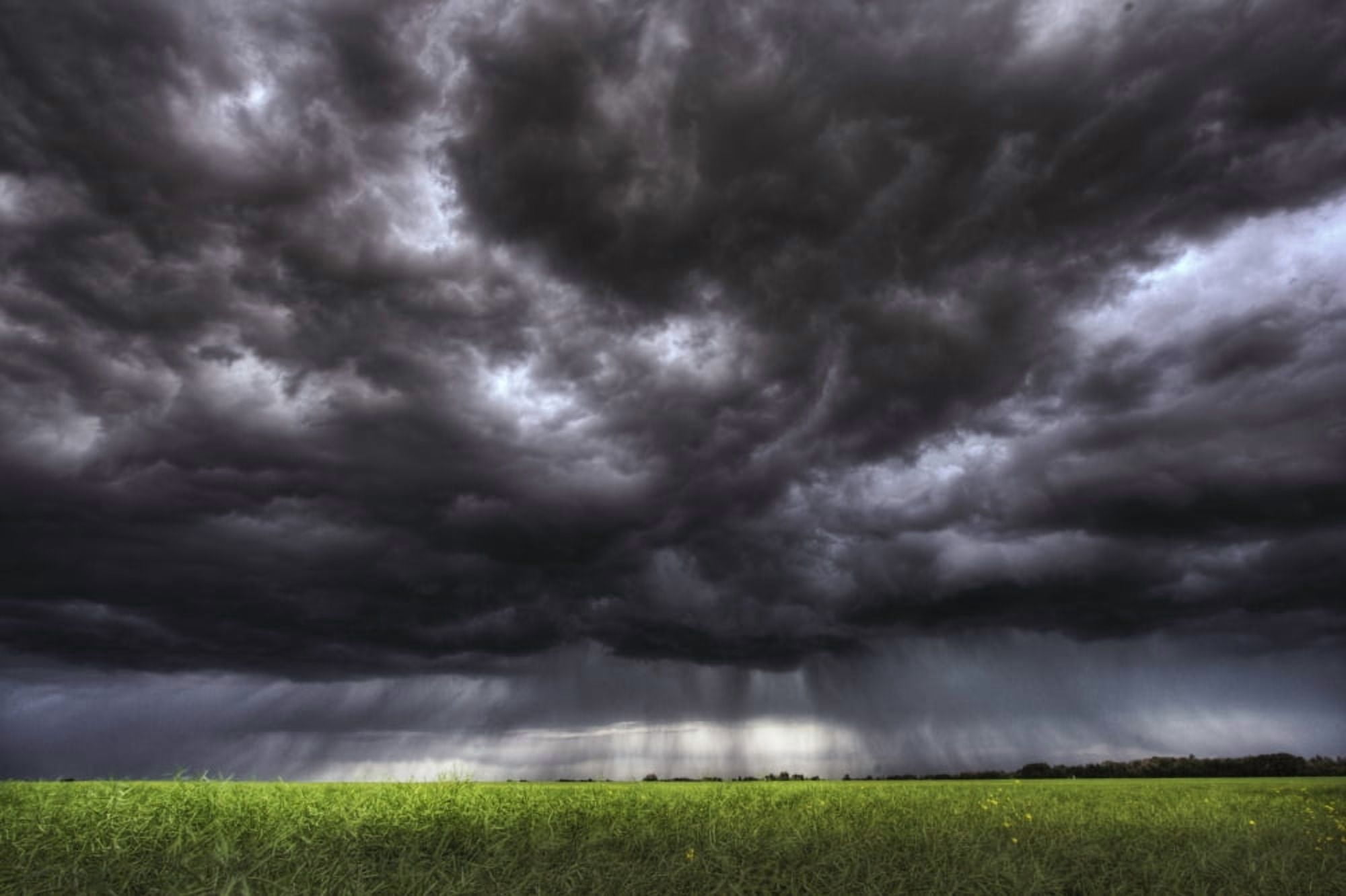 Summer Storm Clouds Over An Unripened Canola Field North Of Edmonton Alberta Canvas Art - Dan Jurak Design Pics (17 x 11)