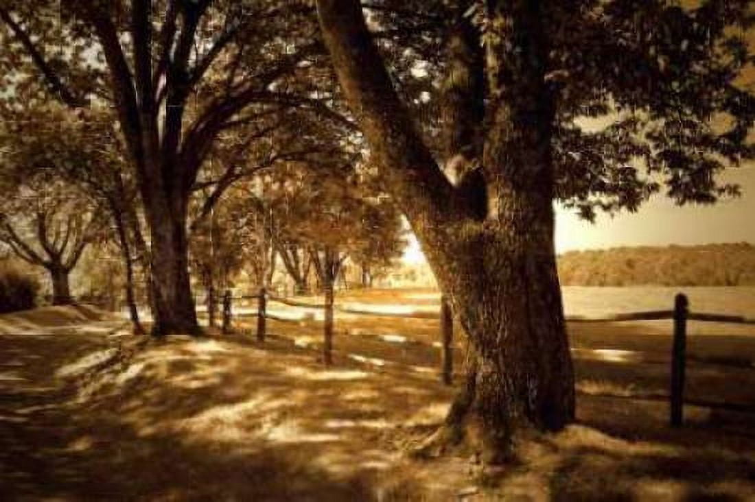 Summer Stroll II Canvas Art - Alan Hausenflock (12 x 18)