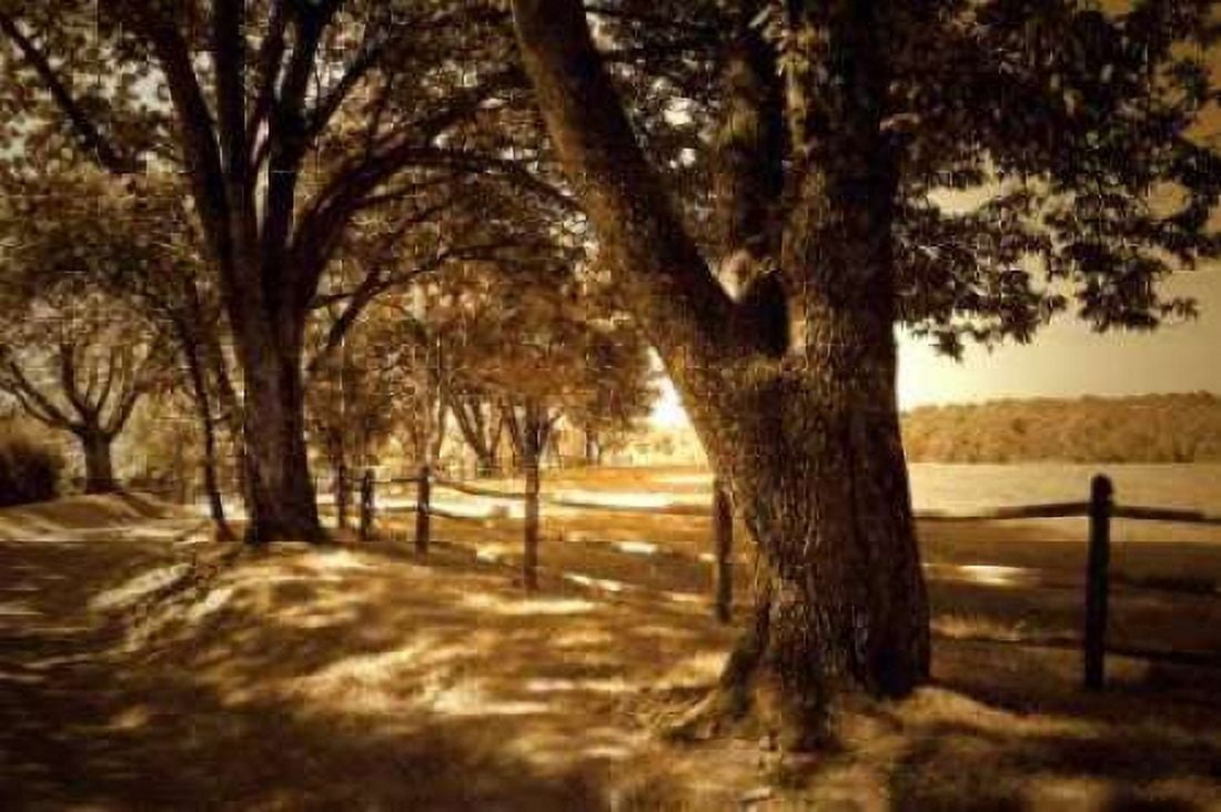 Summer Stroll II Canvas Art - Alan Hausenflock (24 x 36)