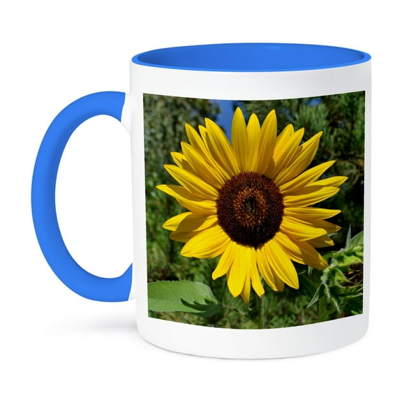 3dRose, Summer Sunflower Flower Photography Macro, 15oz Two-Tone Blue Mug