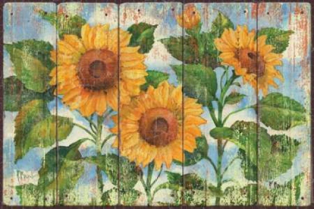 Summer Sunflowers Canvas Art - Paul Brent (24 x 36)