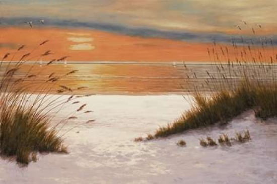 Summer Sunset Canvas Art - Diane Romanello (12 x 18)