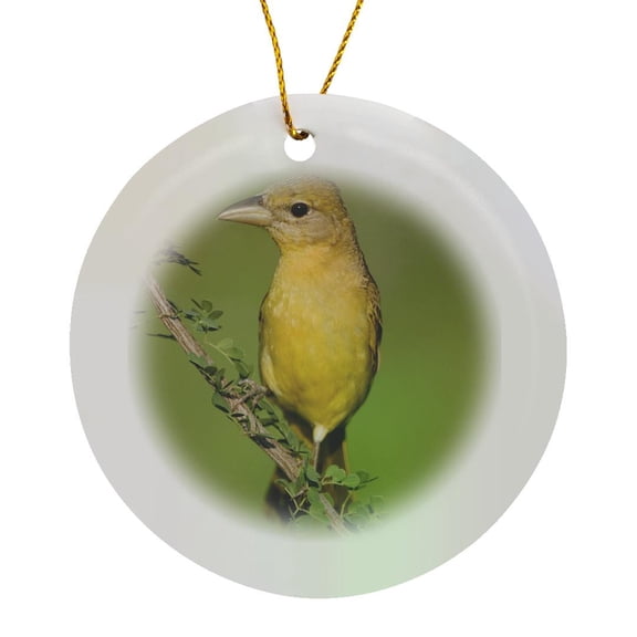 3drose, Summer Tanager Bird, Hill Country, Texas - Na02 Rnu0270 - Rolf Nussbaumer, Circle Porcelain Ornament