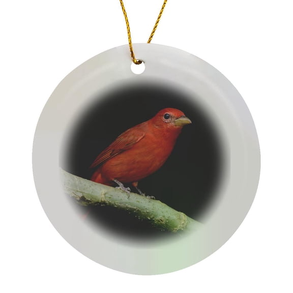 3drose, Summer Tanager Bird, Hill Country, Texas - Na02 Rnu0272 - Rolf Nussbaumer, Circle Porcelain Ornament
