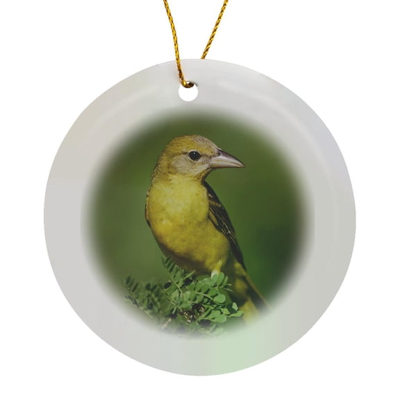 3drose, Summer Tanager Bird on Catclaw, Texas - Na02 Rnu0801 - Rolf Nussbaumer, Circle Porcelain Ornament