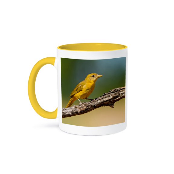 3drose, Summer Tanager, Piranga Rubra, Female Perched, Texas, Usa, 11oz Two-tone Yellow Mug