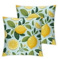 thumbnail image 1 of Summer Teal Lemons Throw Pillow Covers Set of 2 Decorative Pillowcase Cushion Covers Soft Velvet Pillow Cases for Sofa Couch Bed Car Bedroom Home Decor, 1 of 6