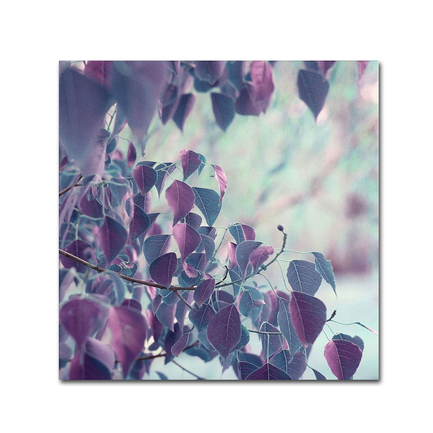 Summer Thoughts Purple and Green Canvas Print Art