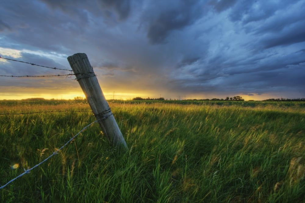 Summer Thunderstorm And Fencepost On A Wheat Farm North Of Edmonton Alberta Canvas Art - Dan Jurak Design Pics (17 x 11)